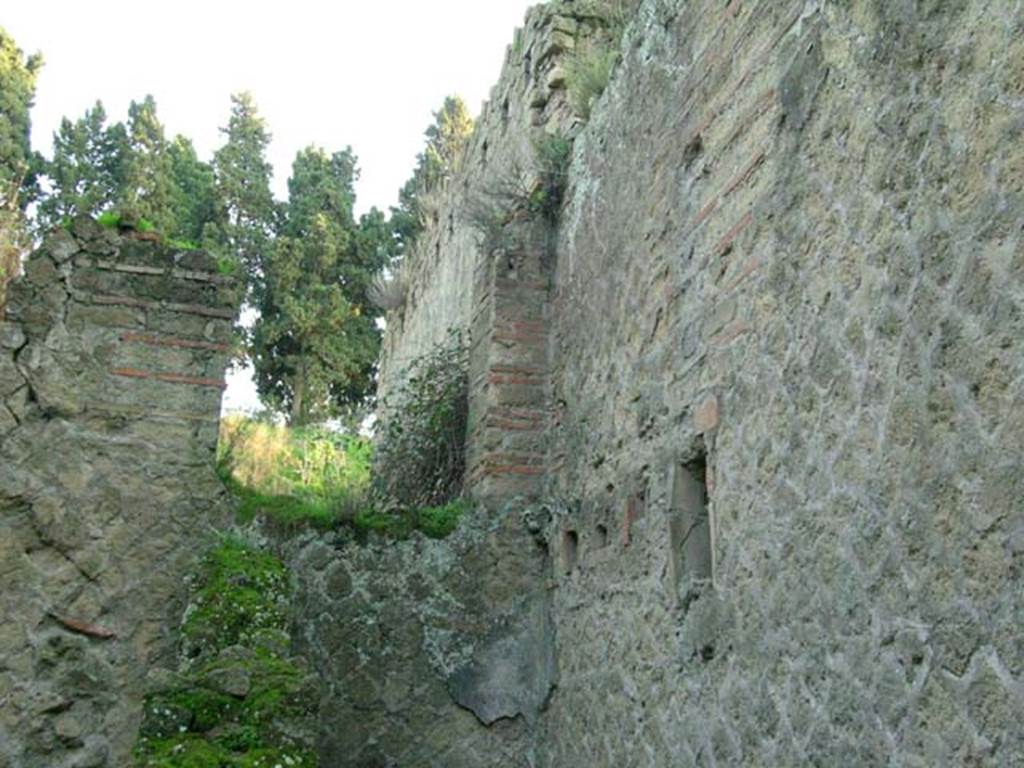 Ins Or II, 7, Herculaneum. December 2004. Upper east wall and south-east corner. Photo courtesy of Nicolas Monteix.